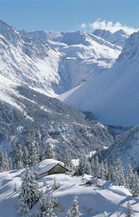 Apartmán Finestra Sull'Adamello Passo del Tonale Exteriér fotografie